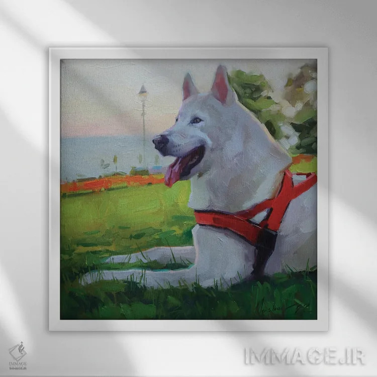 تابلو هاسکی سفید (نژاد سگ) اثر الکس مووچون - نمای قابدار سفید