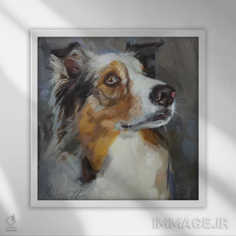 تابلو پرتـرهٔ سگ کولی اثر الکس مووچون - نمای قابدار سفید