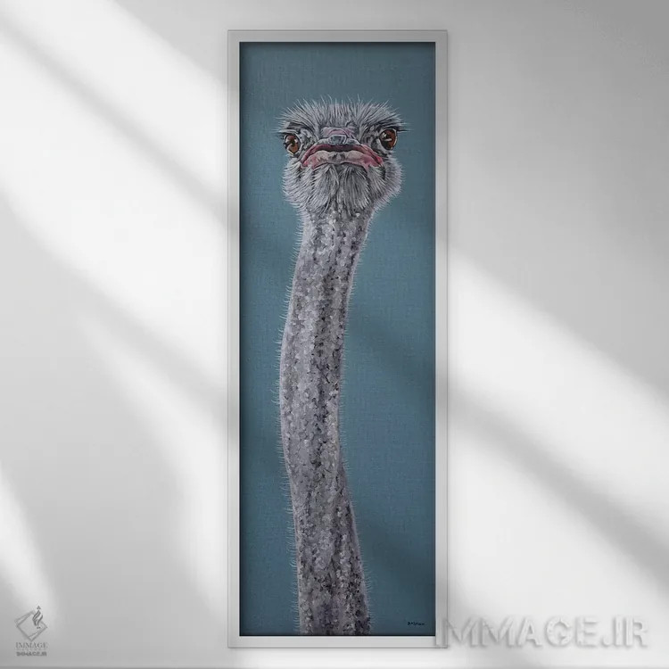 تابلو شترمرغ اثر کلارا باستین - نمای قابدار سفید