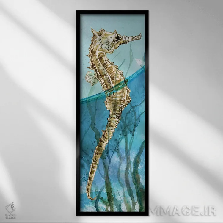 تابلو اسب دریایی دلری ۱ اثر کارول رابینسون - نمای قابدار مشکی