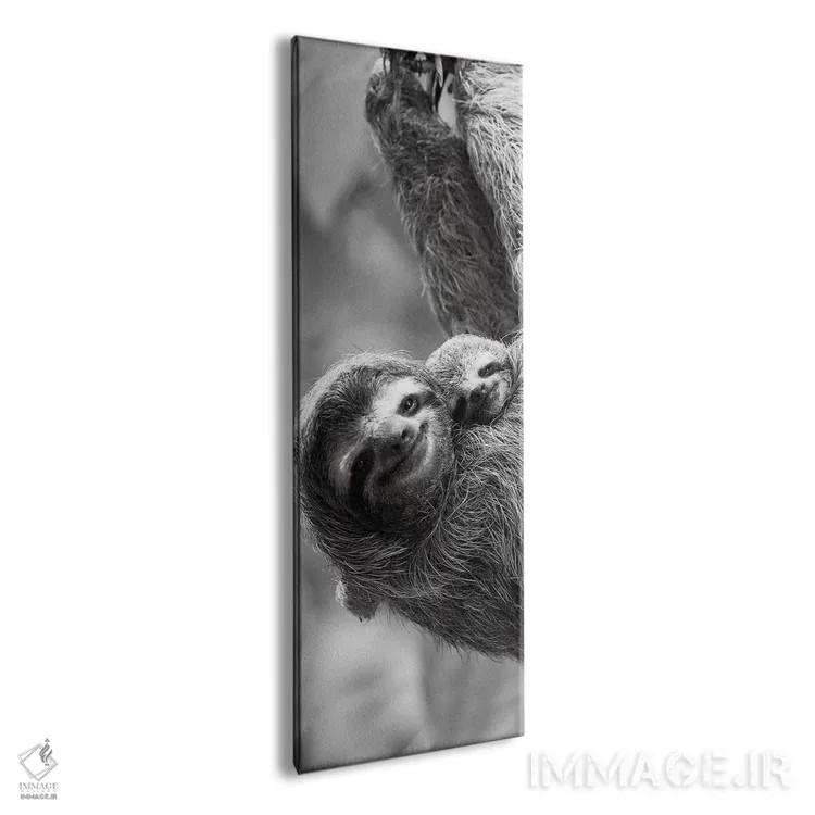 تابلو تاب خوردن تنبل (حیوان) اثر دانیتا دلیمنت - نمای پرسپکتیو محصول