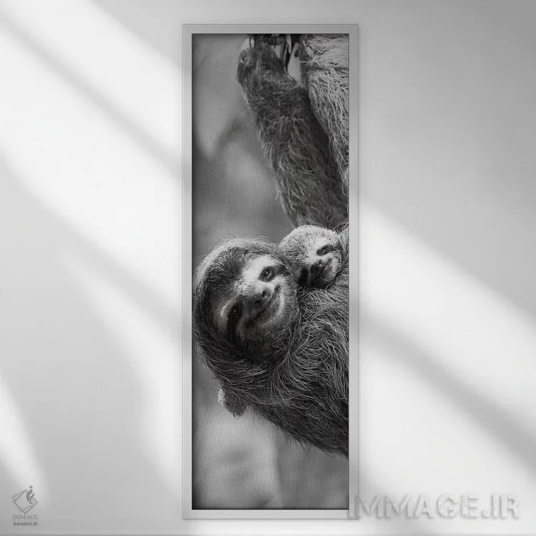 تابلو تاب خوردن تنبل (حیوان) اثر دانیتا دلیمنت - نمای قابدار سفید
