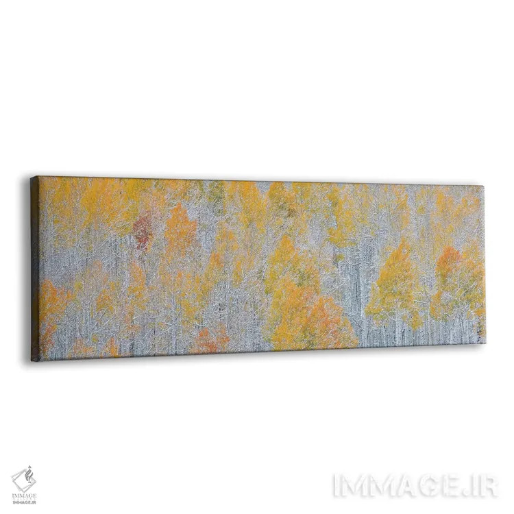 تابلو Colorado. Fall Colors of Aspens and fresh snow Keebler Pass,کوههای راکی، کلرادو. رنگهای پاییزی آسپن و برف تازه در گردنه کیبلر اثر دارل گالین - نمای پرسپکتیو محصول