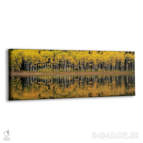 تابلو منظرهٔ آینهای دریاچهٔ جنگلی اثر داستین لِفور - نمای پرسپکتیو محصول
