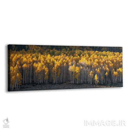 تابلو منظرهٔ سراسر جنگل پاندو اثر داستین لِفور - نمای پرسپکتیو محصول