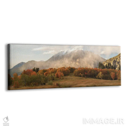 تابلو پانورامای نقاب تیمپانوگوس اثر داستین لِفور - نمای پرسپکتیو محصول