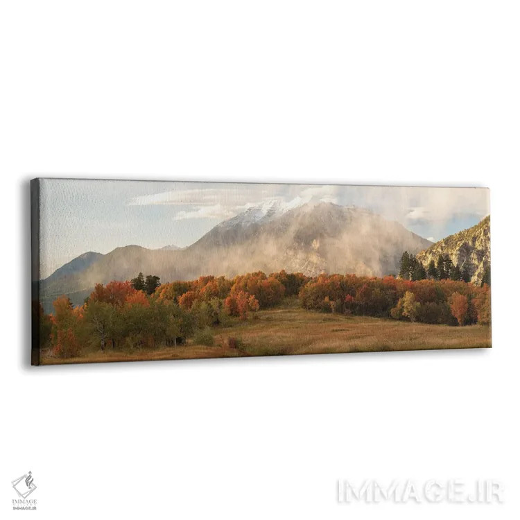 تابلو پانورامای نقاب تیمپانوگوس اثر داستین لِفور - نمای پرسپکتیو محصول