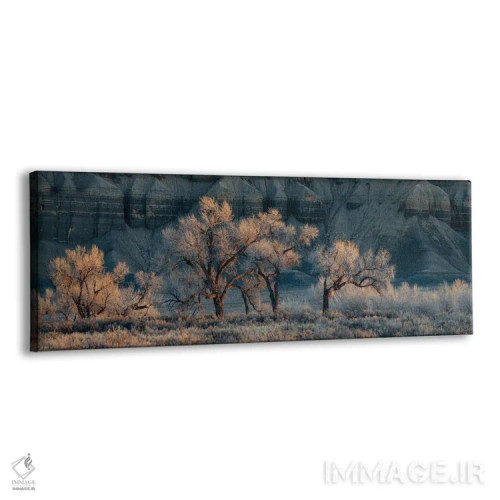 تابلو زیبای خفته اثر داستین لِفور - نمای پرسپکتیو محصول