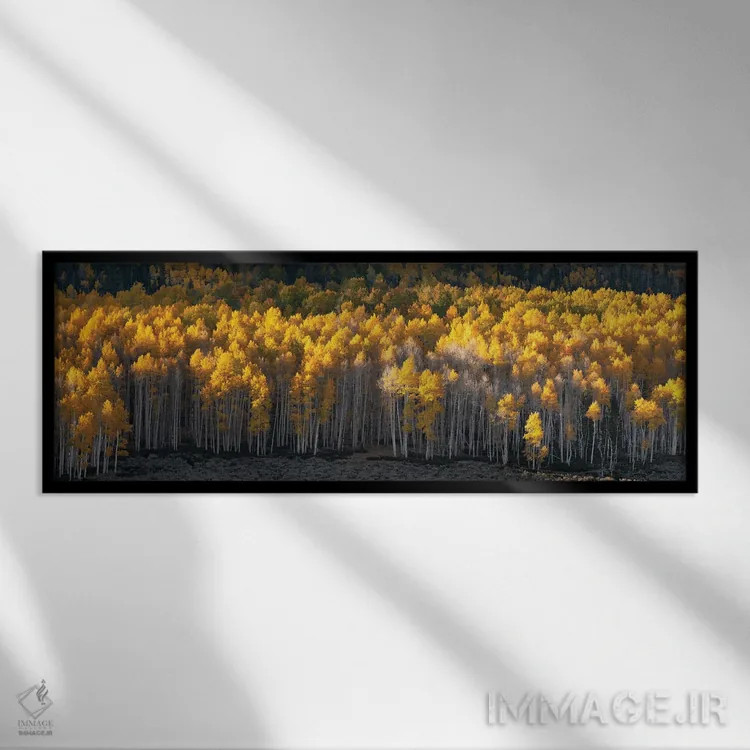 تابلو منظرهٔ سراسر جنگل پاندو اثر داستین لِفور - نمای قابدار مشکی