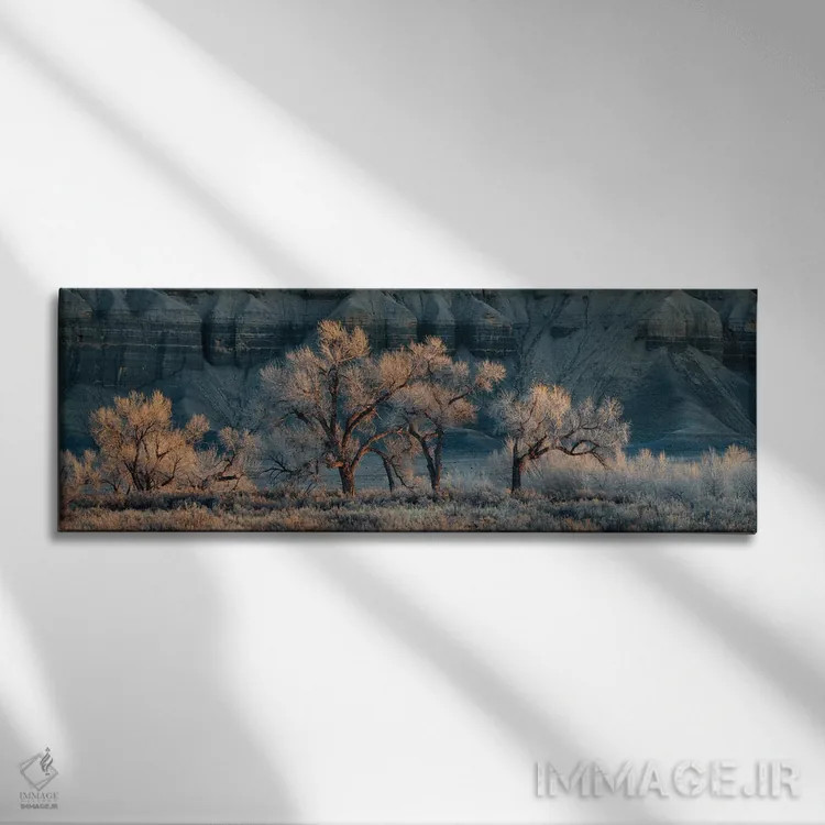 تابلو زیبای خفته اثر داستین لِفور - نمای روبهرو روی دیوار