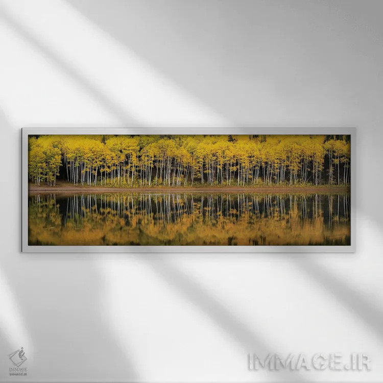 تابلو منظرهٔ آینهای دریاچهٔ جنگلی اثر داستین لِفور - نمای قابدار سفید