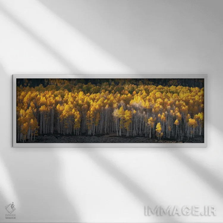 تابلو منظرهٔ سراسر جنگل پاندو اثر داستین لِفور - نمای قابدار سفید