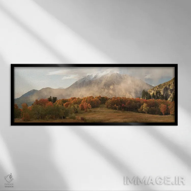 تابلو پانورامای نقاب تیمپانوگوس اثر داستین لِفور - نمای قابدار مشکی