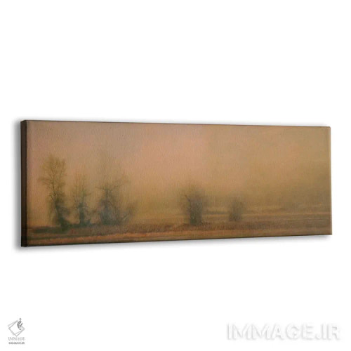 تابلو جزیره مهآلود اثر دان شوارتز - نمای پرسپکتیو محصول