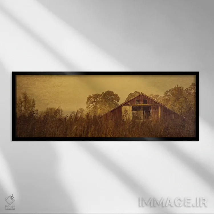 تابلو انبار پوشیده از علفهای بلند اثر دان شوارتز - نمای قابدار مشکی