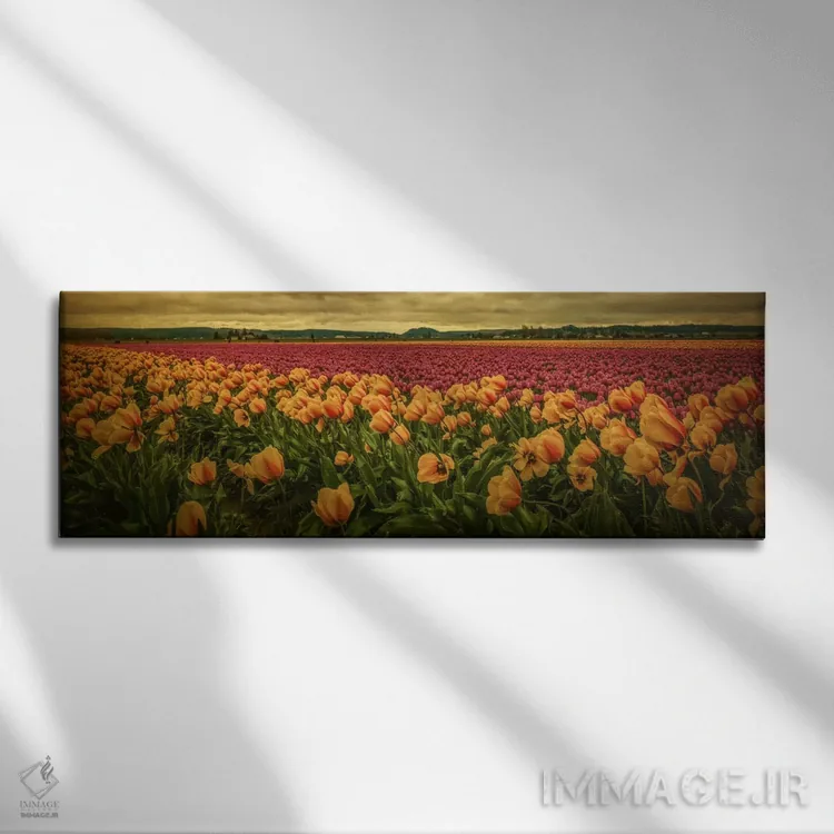 تابلو مزرعه بهاری اثر دان شوارتز - نمای روبهرو روی دیوار