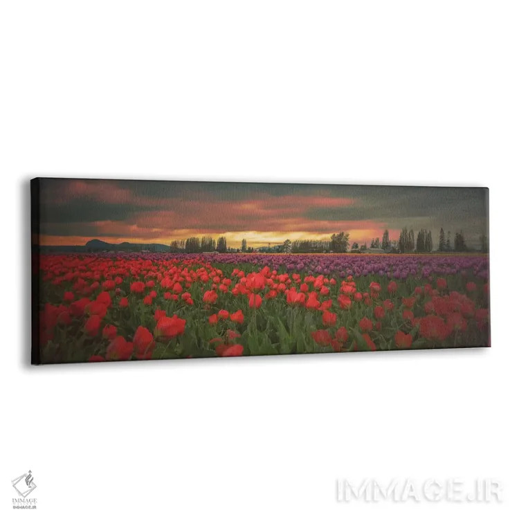 تابلو لالههای درخشان اثر دان شوارتز - نمای پرسپکتیو محصول