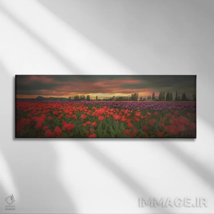 تابلو لالههای درخشان اثر دان شوارتز - نمای روبهرو روی دیوار