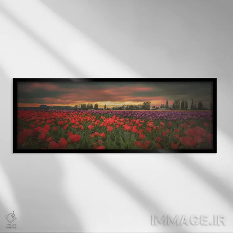 تابلو لالههای درخشان اثر دان شوارتز - نمای قابدار مشکی