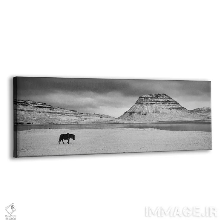 تابلو سفر ۲ (راهپیمایی) اثر دیوید گارباورر - نمای پرسپکتیو محصول