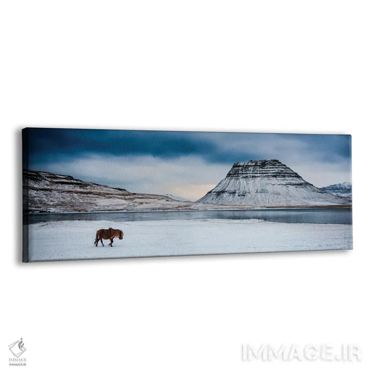 تابلو سفر (راهپیمایی) اثر دیوید گارباورر - نمای پرسپکتیو محصول