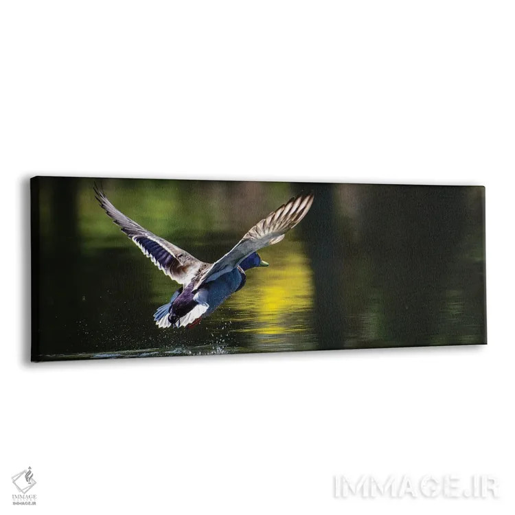 تابلو به راه میرویم اثر دیوید گارباورر - نمای پرسپکتیو محصول