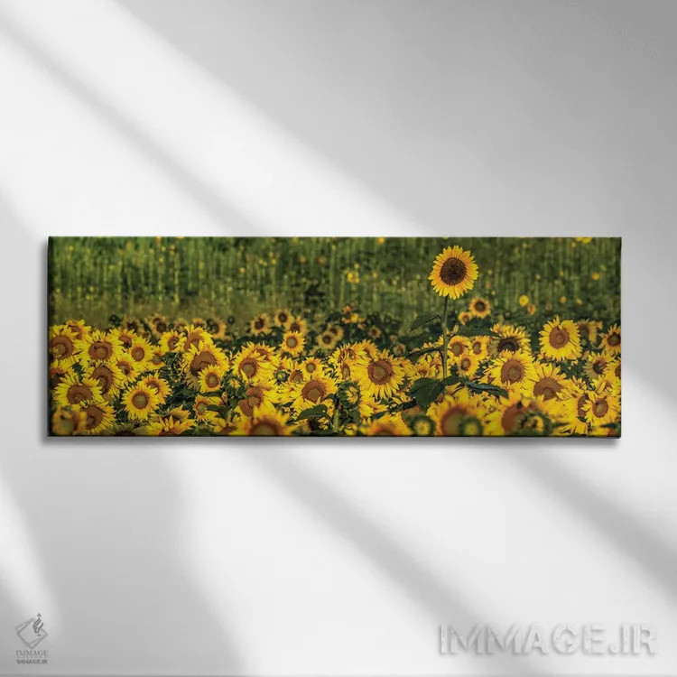 تابلو متمایز بودن اثر دیوید گارباورر - نمای روبهرو روی دیوار