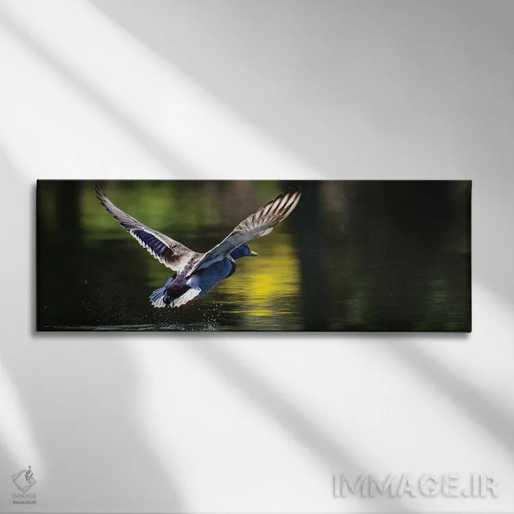 تابلو به راه میرویم اثر دیوید گارباورر - نمای روبهرو روی دیوار