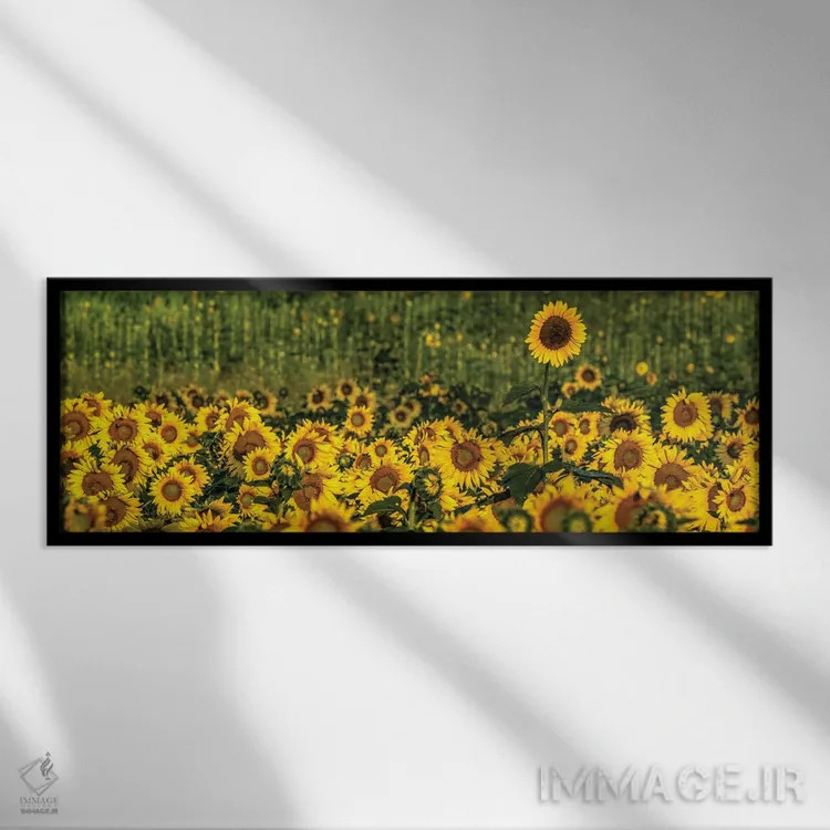 تابلو متمایز بودن اثر دیوید گارباورر - نمای قابدار مشکی