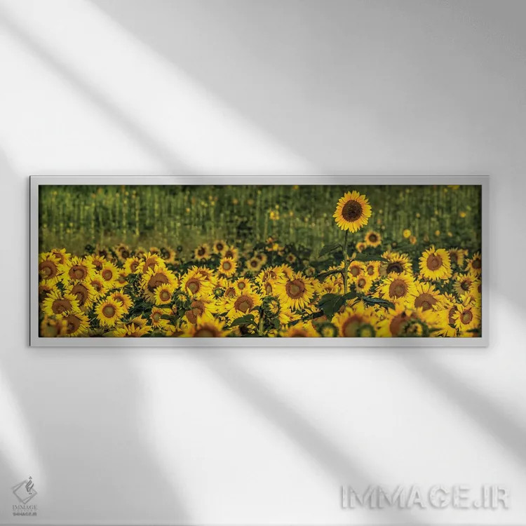 تابلو متمایز بودن اثر دیوید گارباورر - نمای قابدار سفید