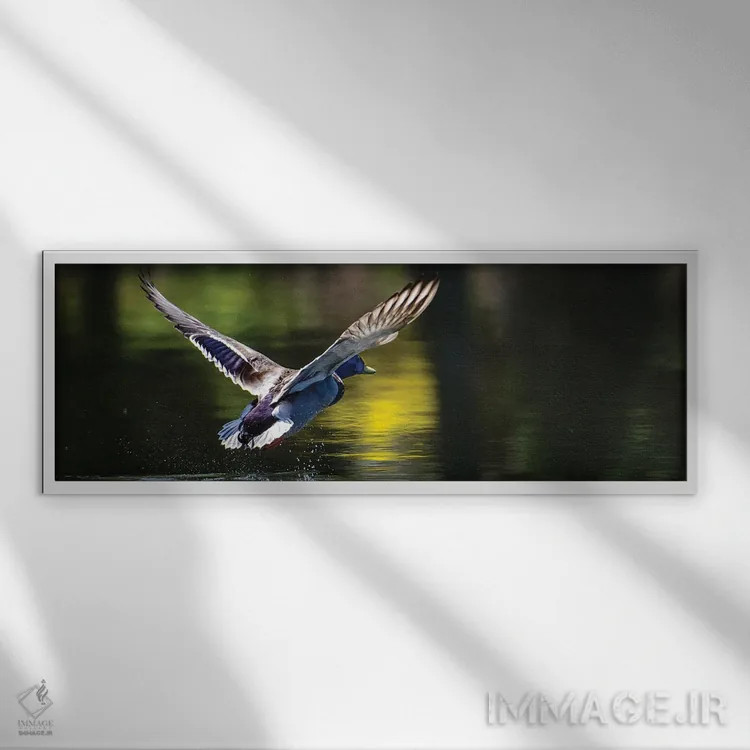 تابلو به راه میرویم اثر دیوید گارباورر - نمای قابدار سفید