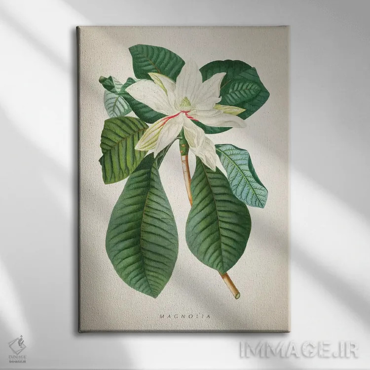 تابلو چاپ گیاهشناسی ماگنولیا شماره ۲ اثر پیکسل کهنه (استودیو/نام هنری) - نمای روبهرو روی دیوار