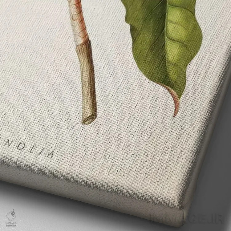 تابلو چاپ گیاهشناسی ماگنولیا شماره ۱ اثر پیکسل کهنه (استودیو/نام هنری) - نمای نزدیک بافت بوم