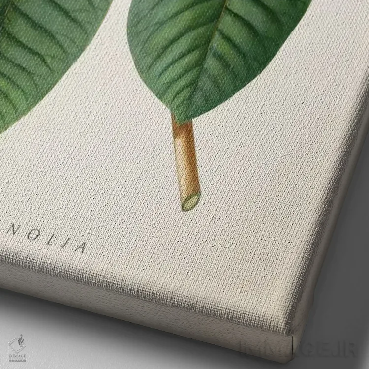 تابلو چاپ گیاهشناسی ماگنولیا شماره ۲ اثر پیکسل کهنه (استودیو/نام هنری) - نمای نزدیک بافت بوم