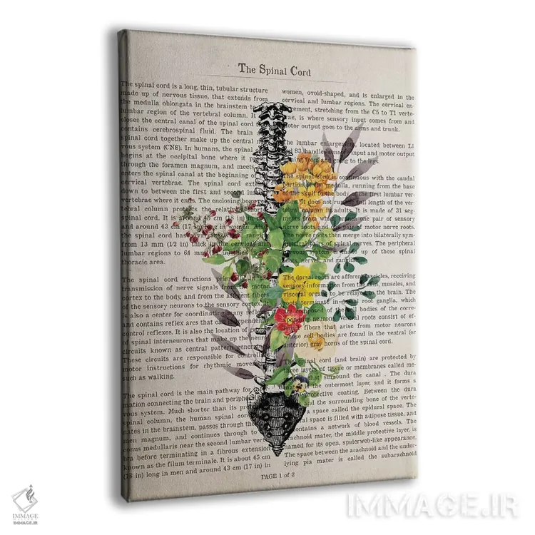 تابلو طناب نخاعی اثر پیکسل کهنه (استودیو/نام هنری) - نمای پرسپکتیو محصول