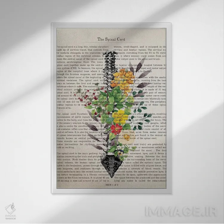 تابلو طناب نخاعی اثر پیکسل کهنه (استودیو/نام هنری) - نمای قابدار سفید