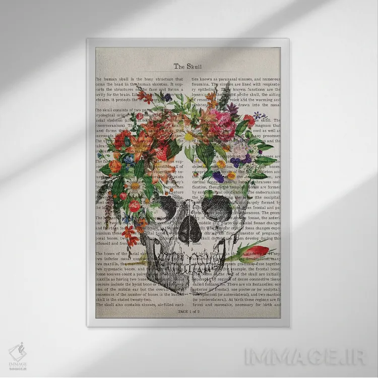 تابلو جمجمه اثر پیکسل کهنه (استودیو/نام هنری) - نمای قابدار سفید