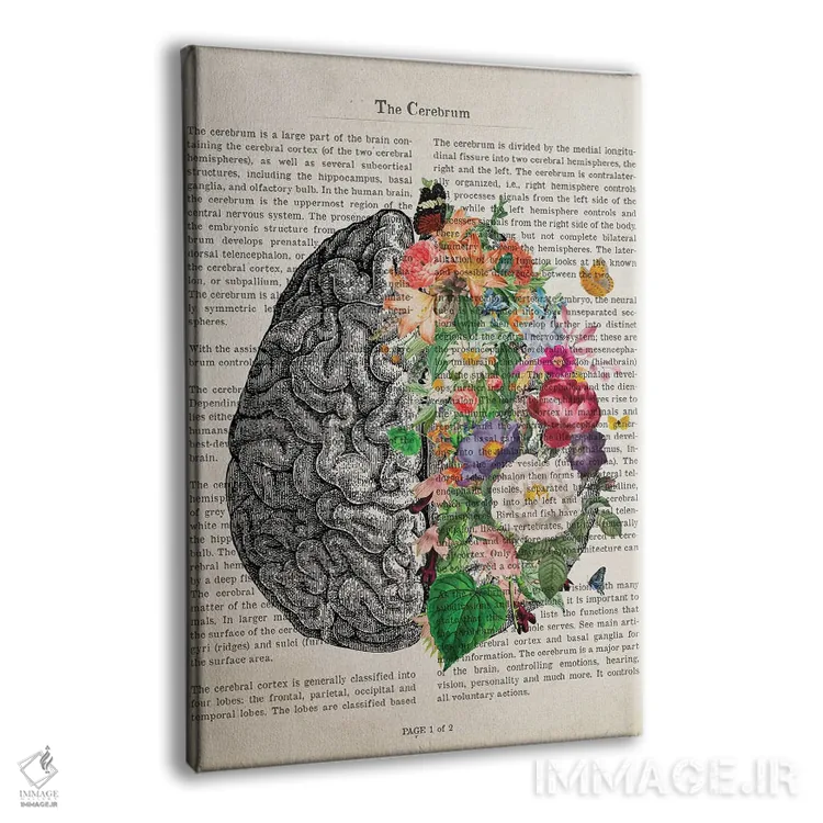 تابلو چاپ هنری مغز با گل (هنر آناتومی) اثر پیکسل کهنه (استودیو/نام هنری) - نمای پرسپکتیو محصول