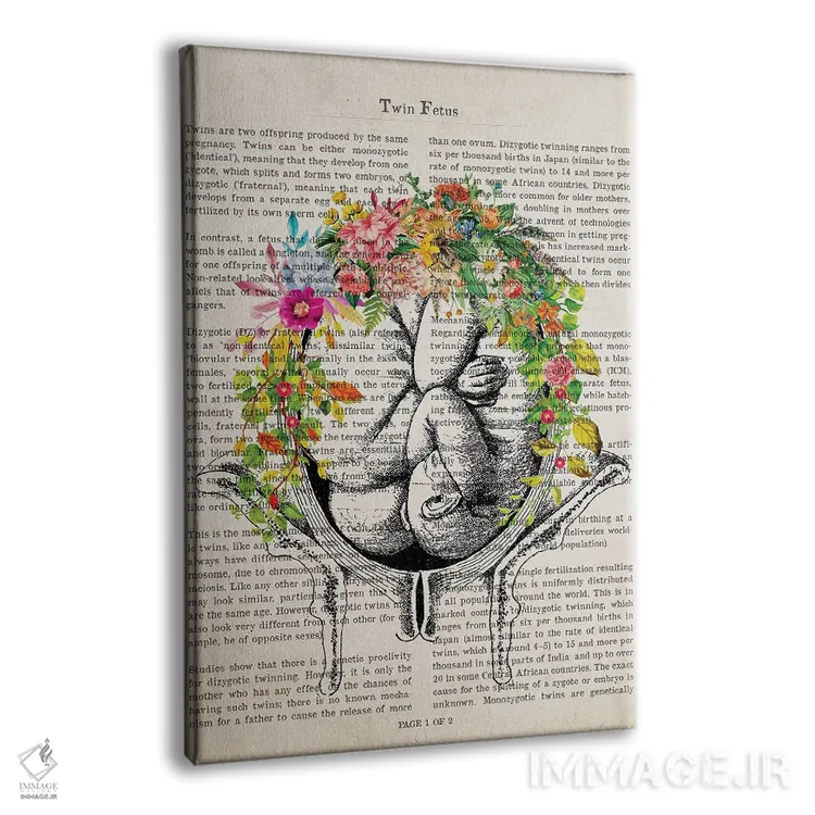 تابلو چاپ آناتومی دوقلوها در رحم با گل اثر پیکسل کهنه (استودیو/نام هنری) - نمای پرسپکتیو محصول