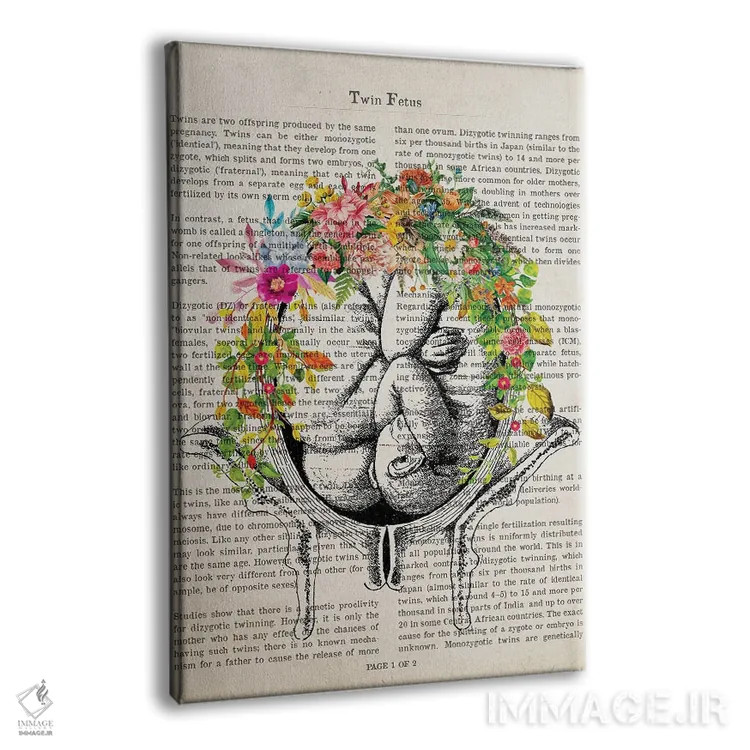 تابلو چاپ آناتومی دوقلوها در رحم با گل اثر پیکسل کهنه (استودیو/نام هنری) - نمای پرسپکتیو محصول