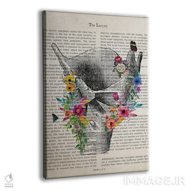 تابلو چاپ آناتومی حنجره اثر پیکسل کهنه (استودیو/نام هنری) - نمای پرسپکتیو محصول
