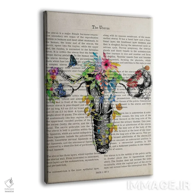تابلو چاپ آناتومی رحم اثر پیکسل کهنه (استودیو/نام هنری) - نمای پرسپکتیو محصول