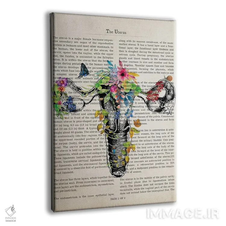 تابلو چاپ آناتومی رحم اثر پیکسل کهنه (استودیو/نام هنری) - نمای پرسپکتیو محصول