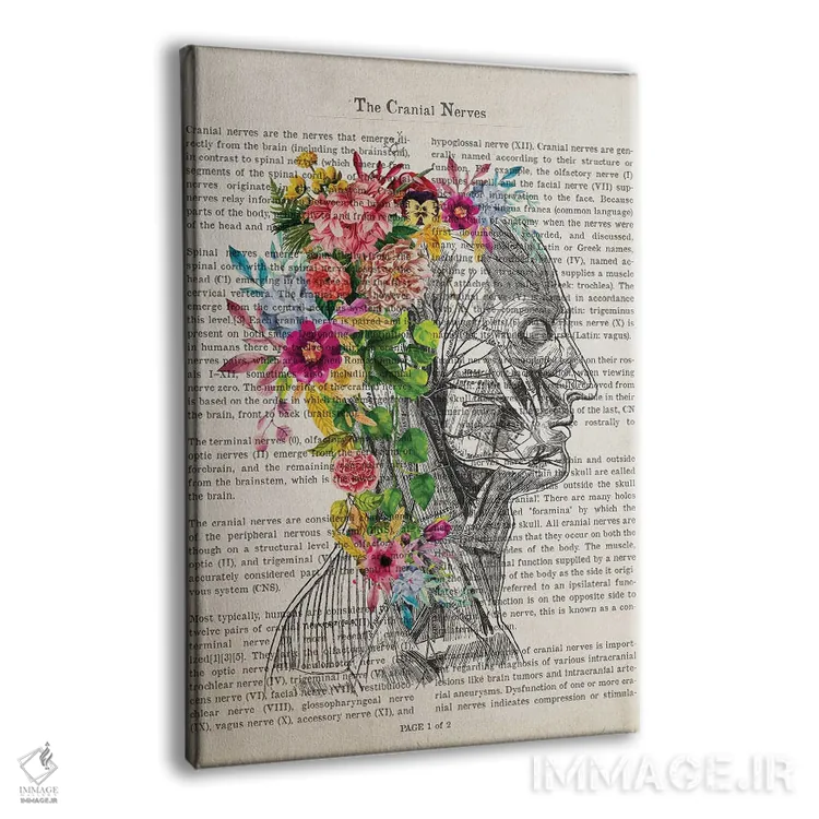 تابلو چاپ آناتومی اعصاب جمجمه با گل اثر پیکسل کهنه (استودیو/نام هنری) - نمای پرسپکتیو محصول