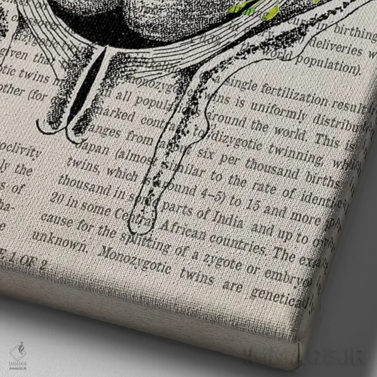 تابلو چاپ آناتومی دوقلوها در رحم با گل اثر پیکسل کهنه (استودیو/نام هنری) - نمای نزدیک بافت بوم