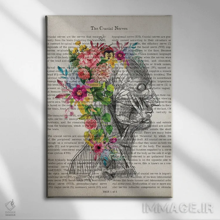 تابلو چاپ آناتومی اعصاب جمجمه با گل اثر پیکسل کهنه (استودیو/نام هنری) - نمای روبهرو روی دیوار