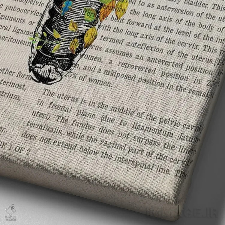 تابلو چاپ آناتومی رحم اثر پیکسل کهنه (استودیو/نام هنری) - نمای نزدیک بافت بوم