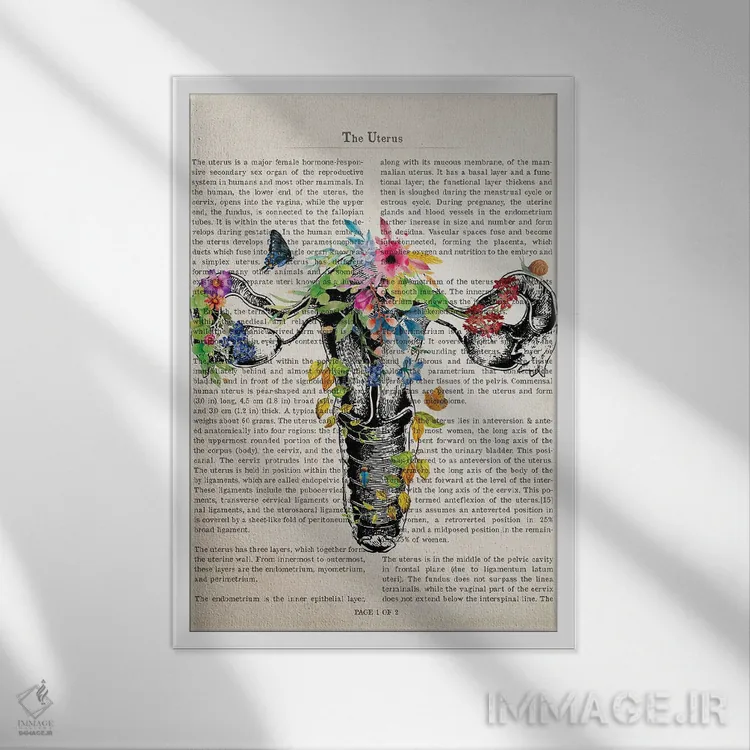 تابلو چاپ آناتومی رحم اثر پیکسل کهنه (استودیو/نام هنری) - نمای قابدار سفید