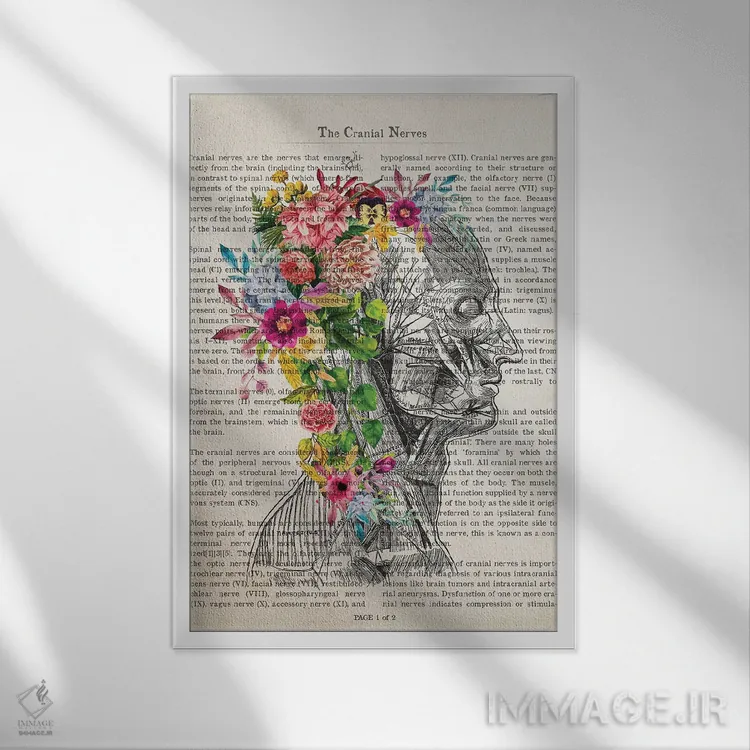 تابلو چاپ آناتومی اعصاب جمجمه با گل اثر پیکسل کهنه (استودیو/نام هنری) - نمای قابدار سفید