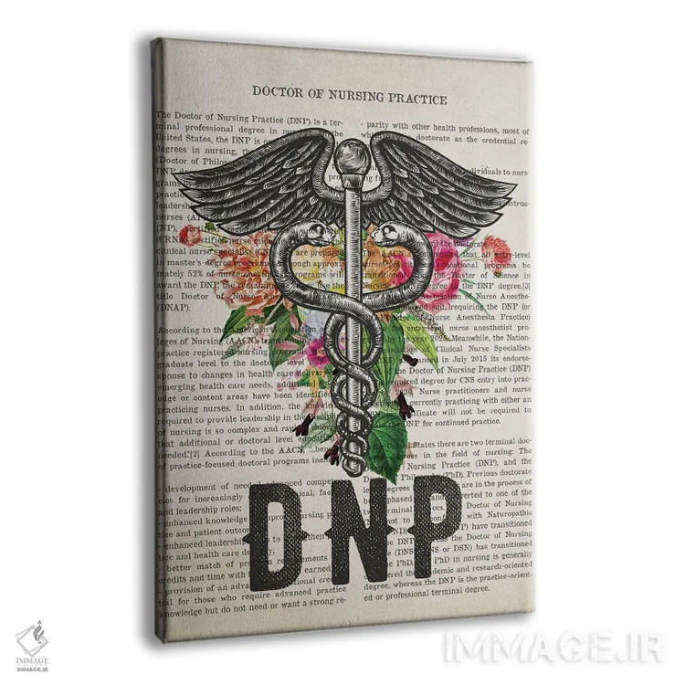 تابلو دکترای پرستاری کارورز (DNP) همراه با گلها اثر پیکسل کهنه (استودیو/نام هنری) - نمای پرسپکتیو محصول